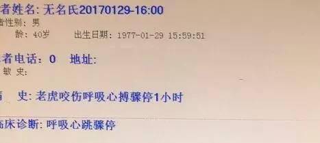 老虎咬人事件后續(xù)