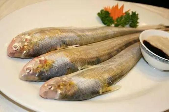 長(zhǎng)江刀魚(yú)賣(mài)出天價(jià)