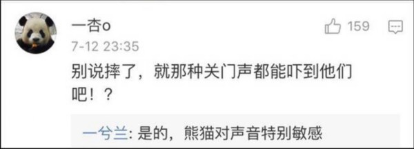熊貓?jiān)獯拄攲?duì)待
