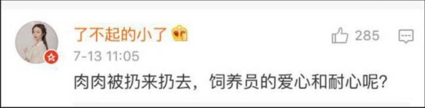 熊貓?jiān)獯拄攲?duì)待