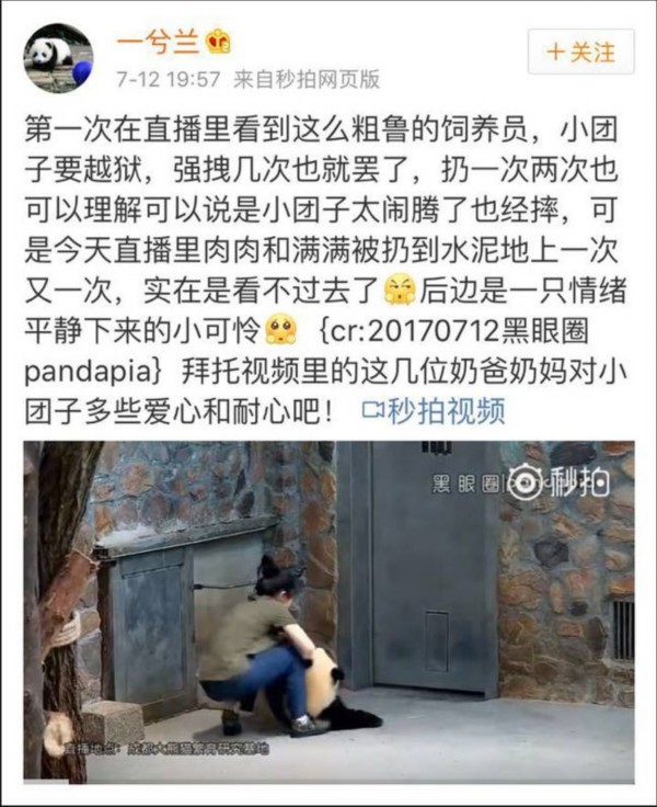 熊貓?jiān)獯拄攲?duì)待