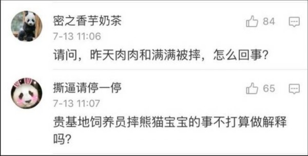 熊貓?jiān)獯拄攲?duì)待