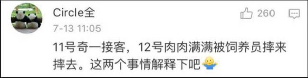 熊貓?jiān)獯拄攲?duì)待