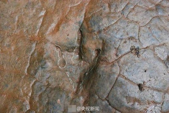 貴州河灘現(xiàn)怪腳印