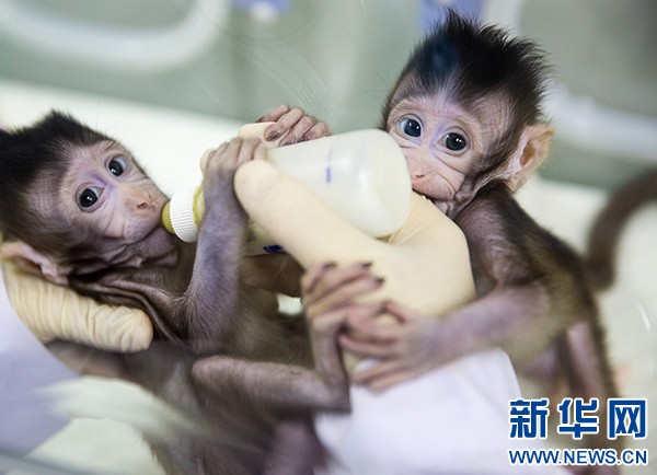 生命科學重大突破