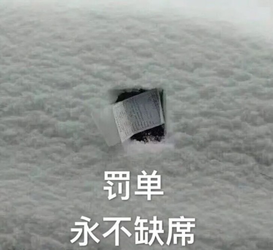 這張罰單網友笑瘋