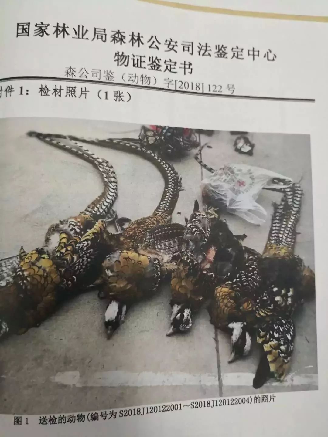 吃了4只雞被判5年