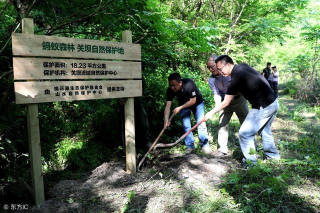馬云最隱秘的投資 螞蟻森林