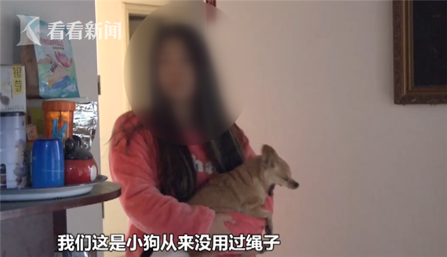 女童被無繩犬嚇到休克