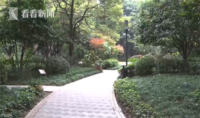 女童被無繩犬嚇到休克