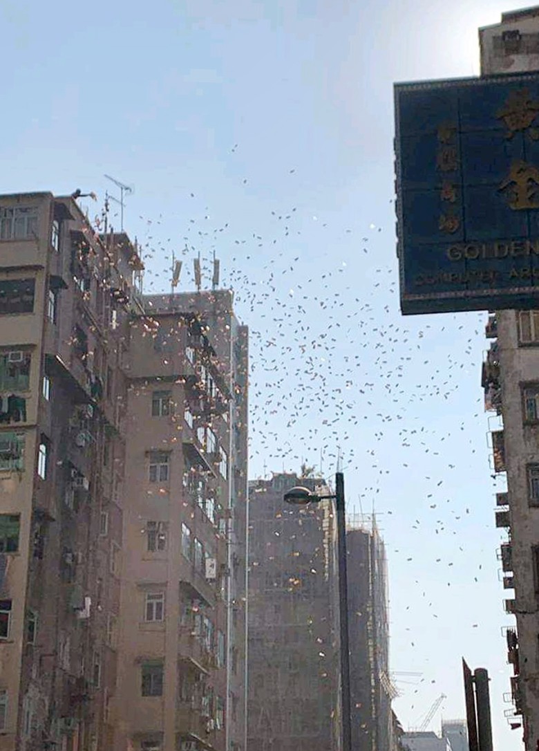 香港上演天上掉錢