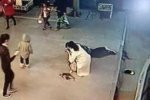 洋縣最美女護(hù)士劉丹