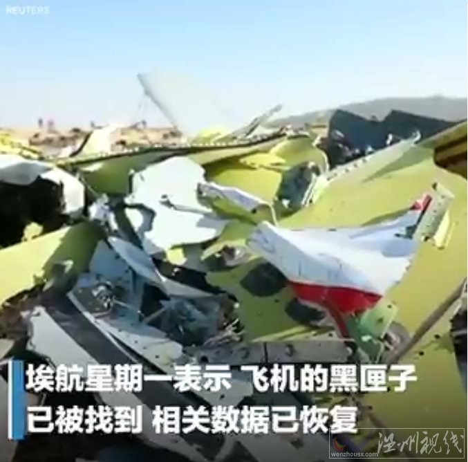 埃航失事客機(jī)黑匣子已找到