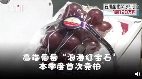 日本高級葡萄一串120萬日元