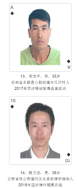 云南發撲克通緝令