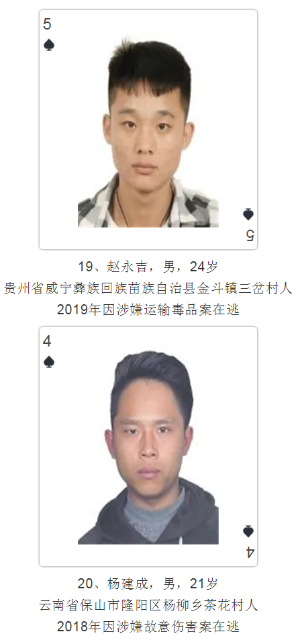 云南發撲克通緝令