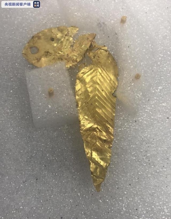三星堆8號坑陸續(xù)發(fā)現(xiàn)近60件金葉