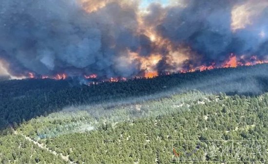 加拿大森林火災 15小時內火云引發710117次雷擊引發火災