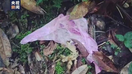 解密哀牢山搜救:當地現強磁場干擾