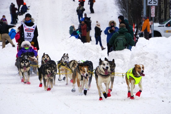 第50屆年度艾迪塔羅德雪橇犬賽