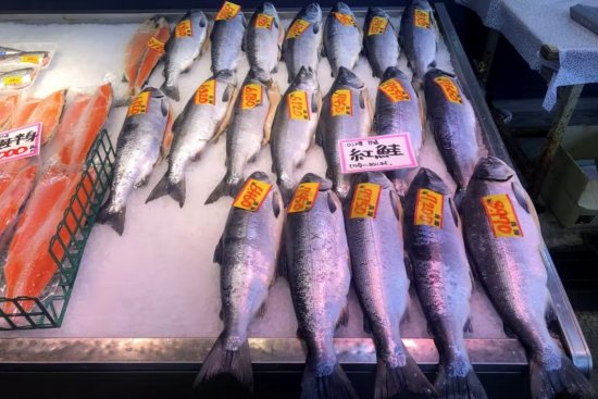 日本俄羅斯簽署了捕魚(yú)協(xié)議