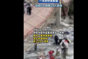 新疆一景區(qū)吊橋橋索斷裂