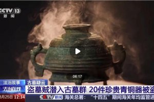 男子看小說學盜墓挖